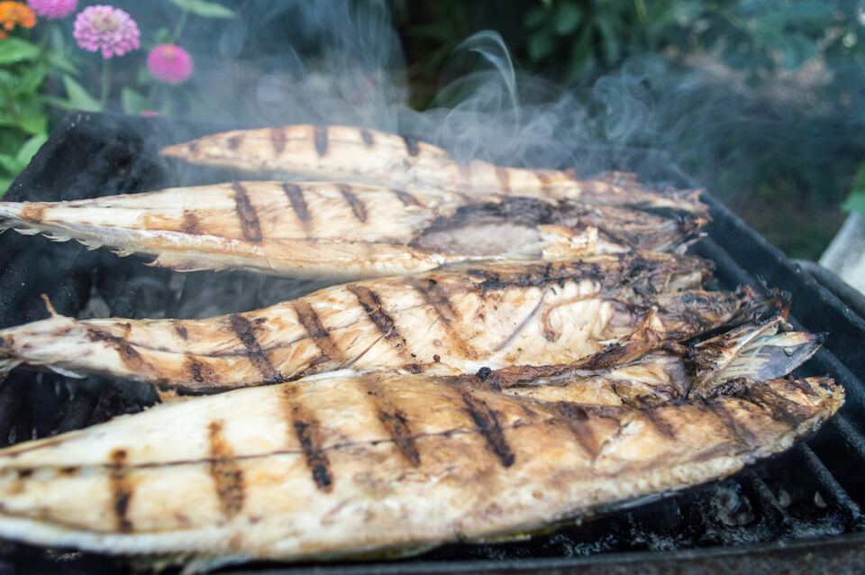 Peixe inteiro a grelhar sobre o carvão, com fumo